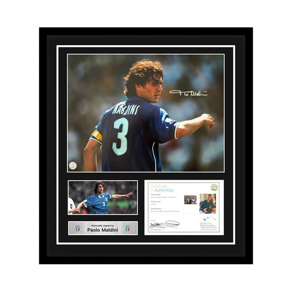 开云体育 APP